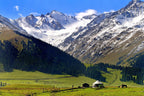White yurt and horses on green grassland beneath snow-capped mountains in Xinjiang