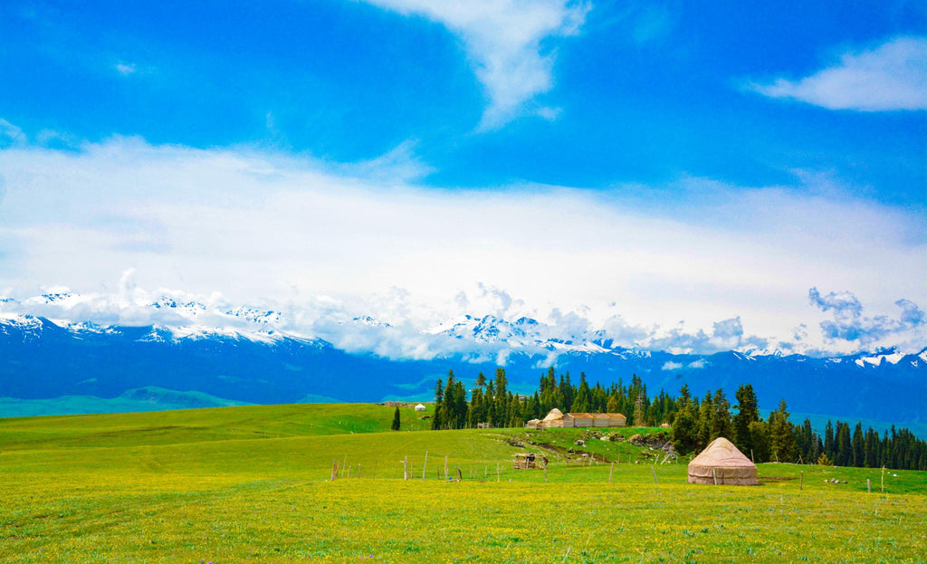 8-Day Wild Xinjiang Tour: Sayram Lake, Grasslands & Duku Highway