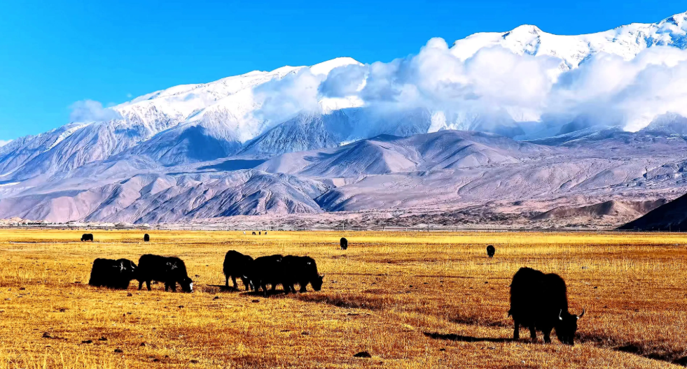 12-Day Southern Xinjiang Tour: Silk Road, Pamirs & Kashgar