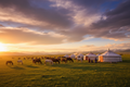 10-Day First-Class Tour: Urumqi • Kanas • Hemu • Sailimu Lake • Tianshan • 1+1 First Class