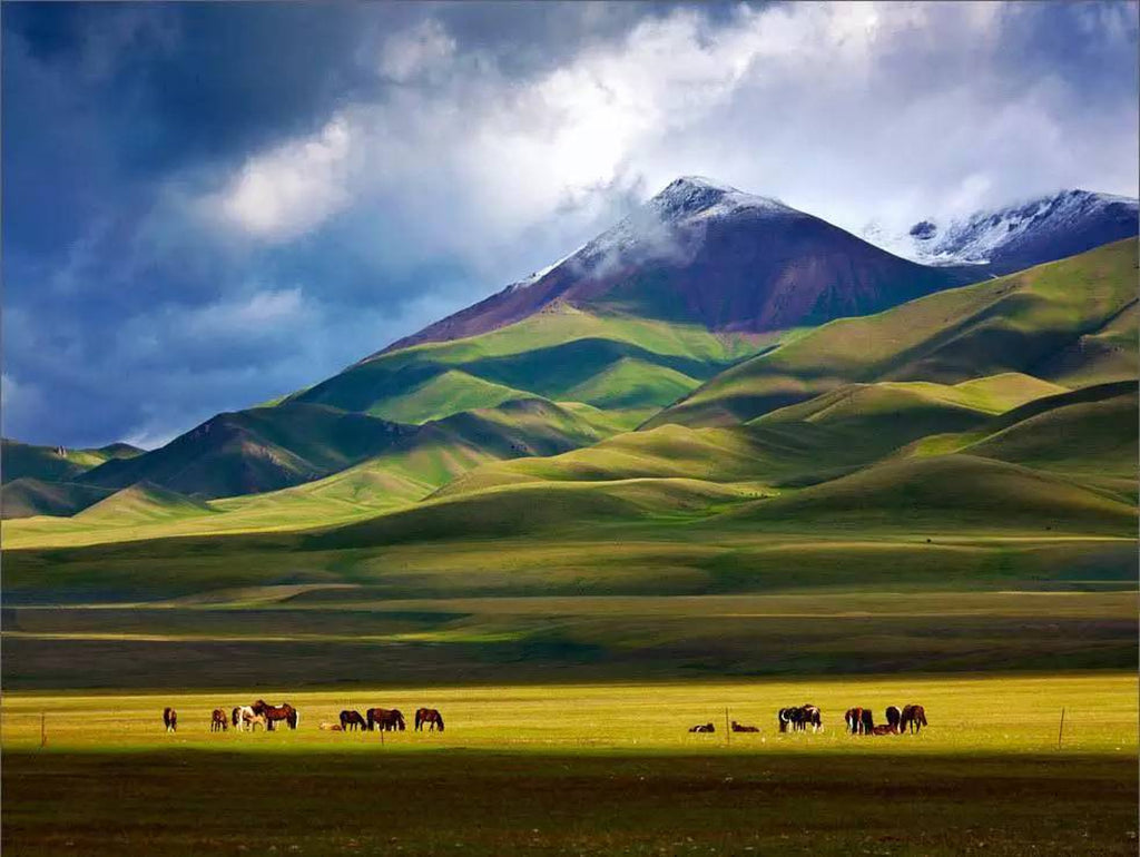 7-Day Xinjiang Tour: Sayram Lake, Xiata & Nalati Grassland