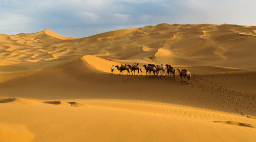 6-Day Xinjiang Desert Tour: Turpan, Hami & Off-Road Adventure