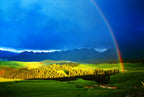 10-Day Xinjiang Explorer: Kanas, Hemu, Sayram Lake & Duku Highway