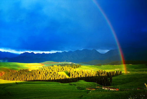 10-Day Xinjiang Explorer: Kanas, Hemu, Sayram Lake & Duku Highway