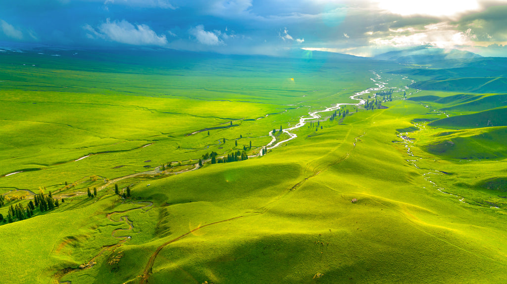 7-Day Xinjiang Tour: Sayram Lake, Xiata & Nalati Grassland