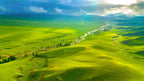 7-Day Xinjiang Tour: Sayram Lake, Xiata & Nalati Grassland