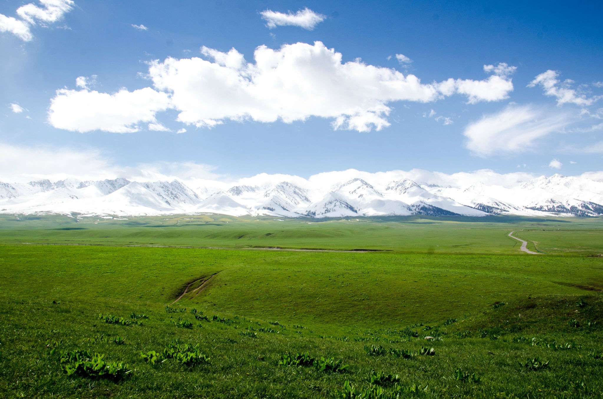 10-Day Xinjiang Explorer: Kanas, Hemu, Sayram Lake & Duku Highway