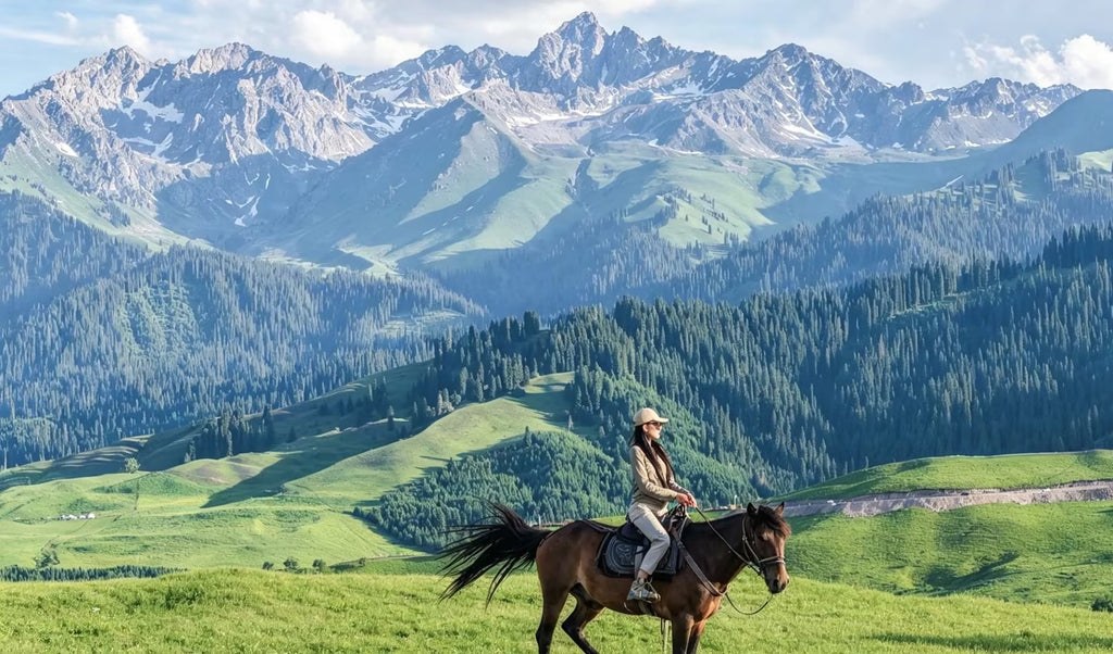 8-Day Wild Xinjiang Tour: Sayram Lake, Grasslands & Duku Highway