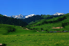 10-Day Xinjiang Explorer: Kanas, Hemu, Sayram Lake & Duku Highway