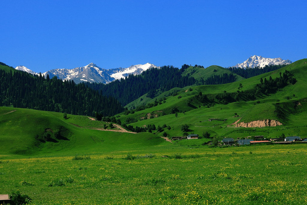 10-Day Xinjiang Explorer: Kanas, Hemu, Sayram Lake & Duku Highway